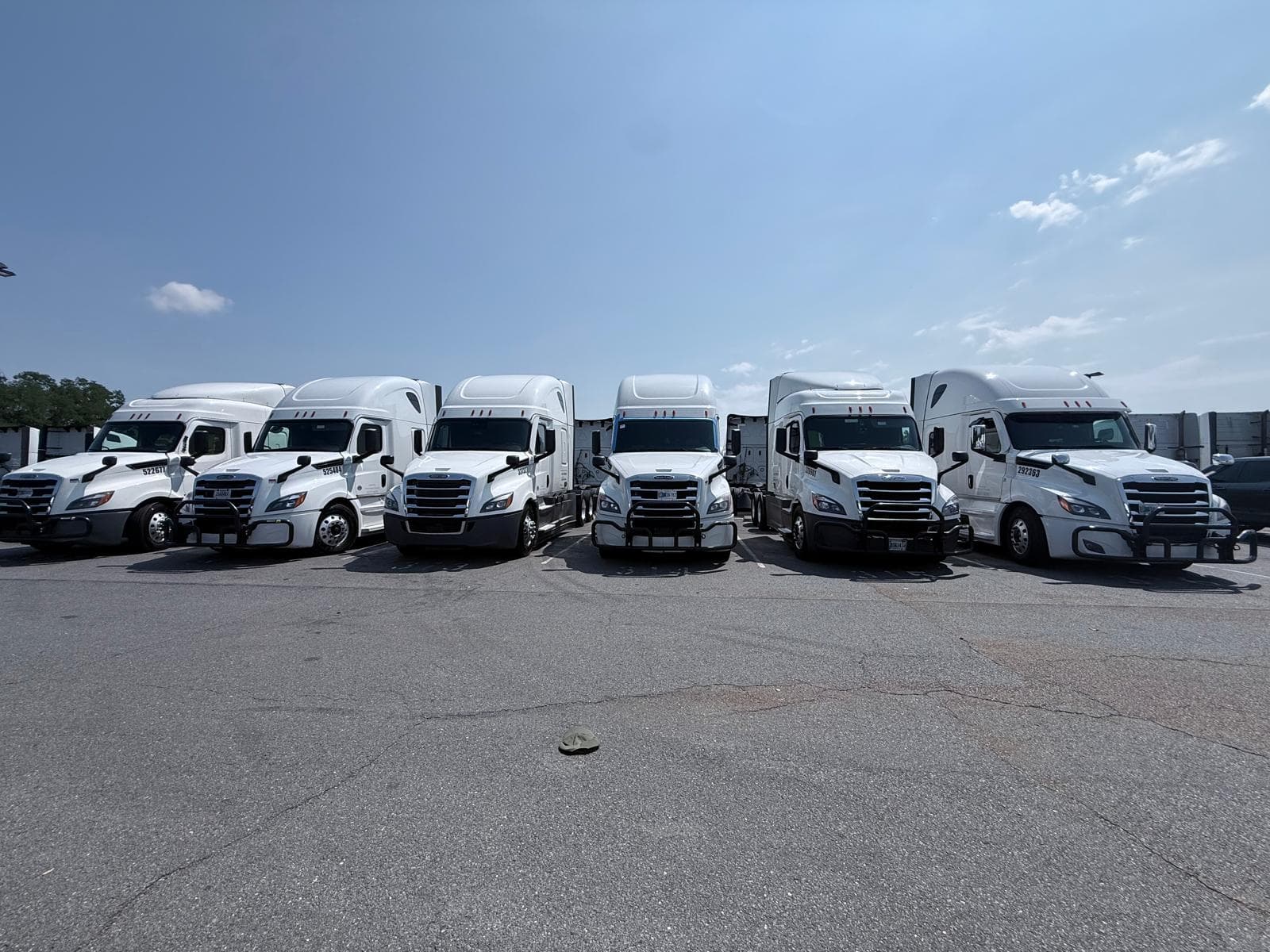 Row of Medallo Enterprises Freightliner tractors